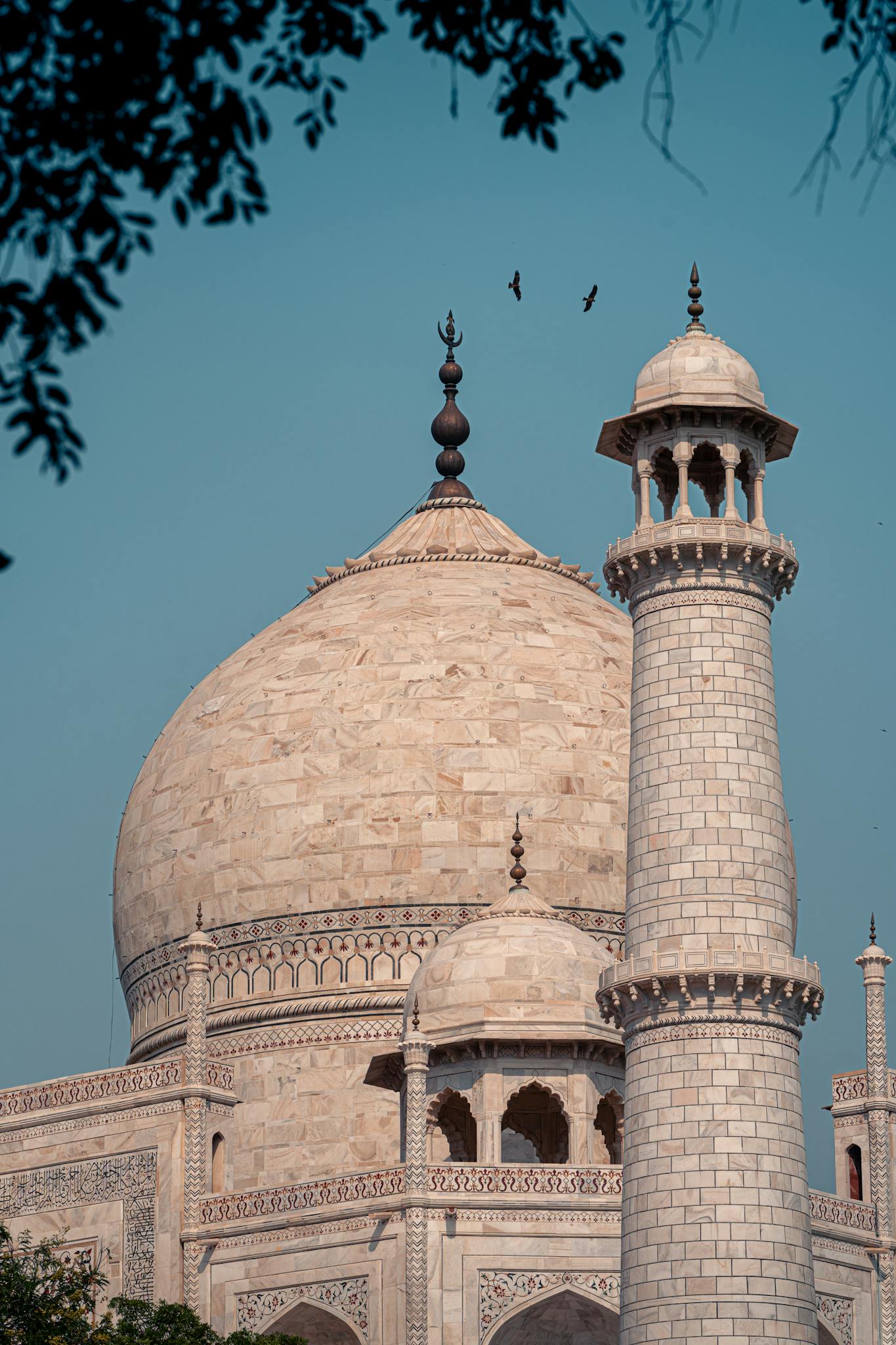 Detailed view of the Taj Mahal's dome and minaret in Agra, India, under a clear sky.